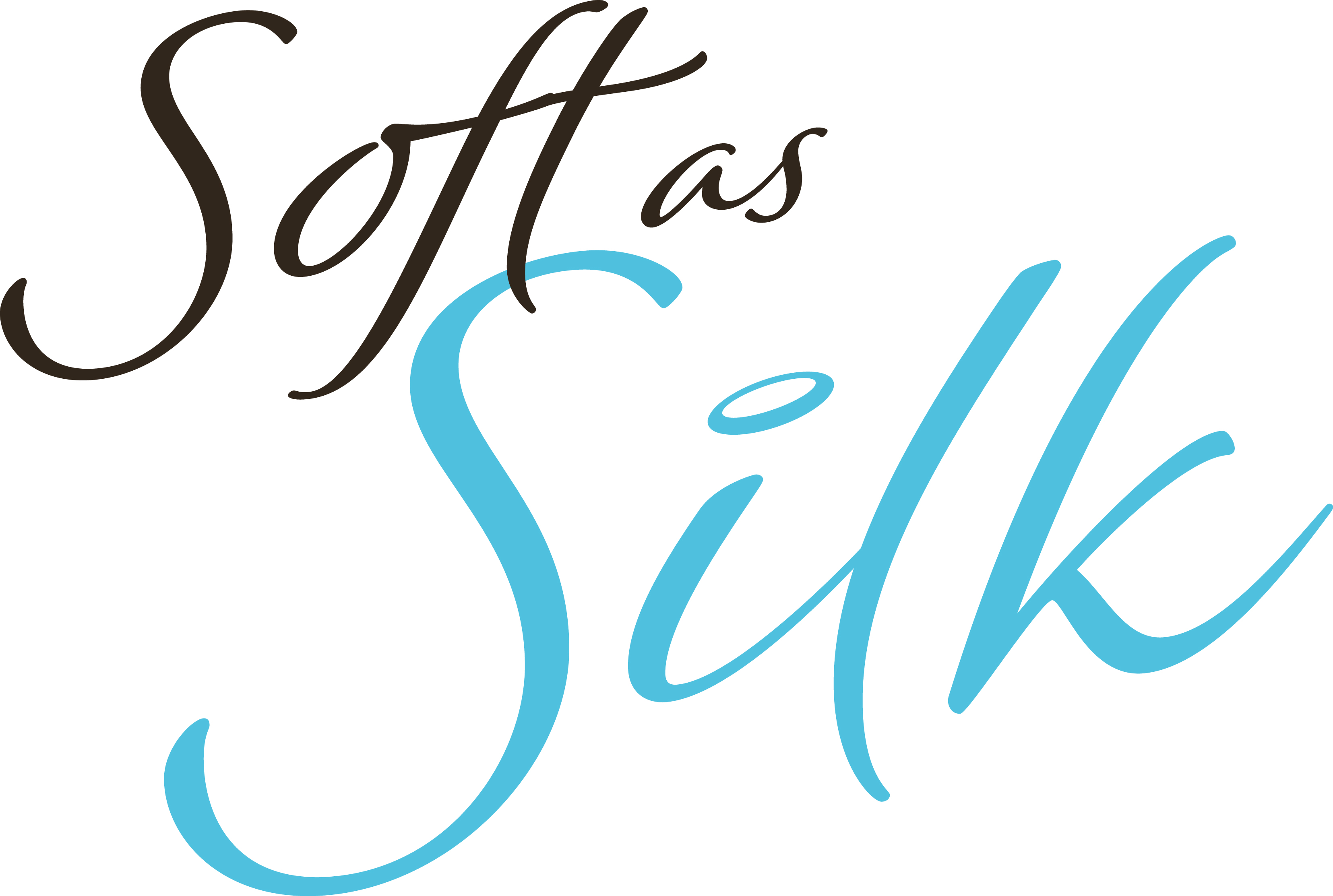 SoftAsSilk_Logo.jpg