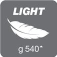 Light 540.jpg