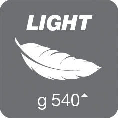 Light 540.jpg