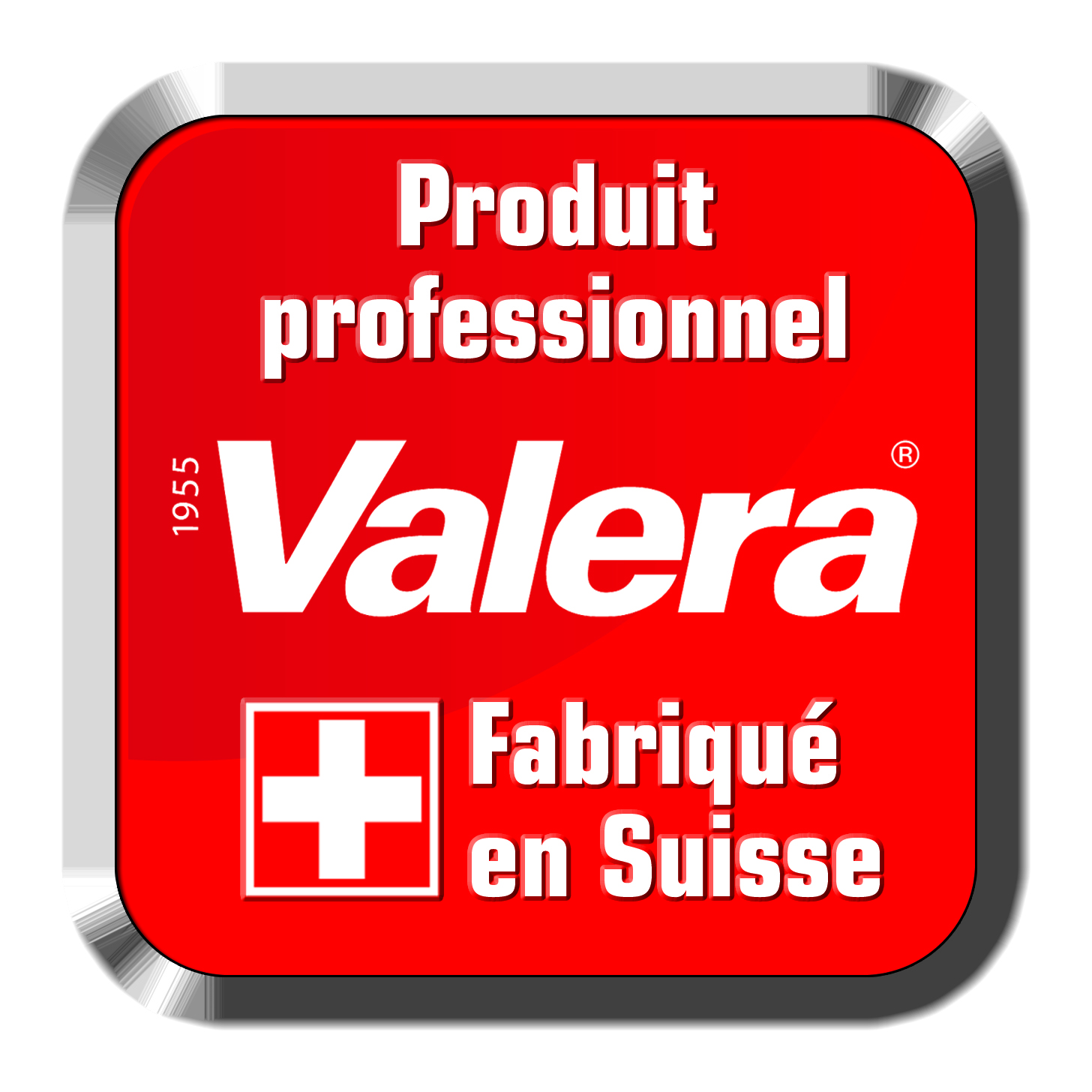 Valera-Logo-Professional-2014.jpg